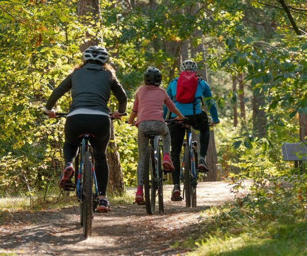 bicycles-g7a37115ef_1920